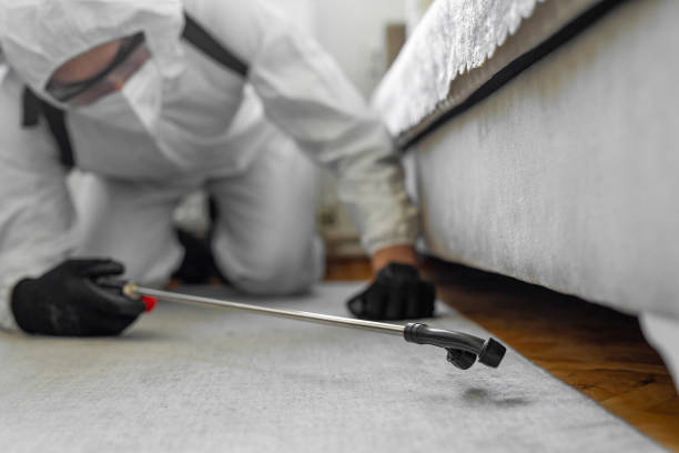 Professional Bed Bug Control technician working in Madison Park, NJ