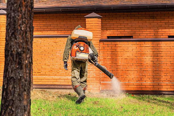 Trusted Fumigation Services service in Madison Park, NJ - Nex Pest Control
